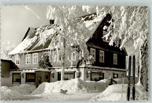 Neuastenberg Pension Gasthaus Scheven Winter Hund Ski