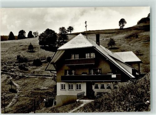 Wieden Pension Gutmann