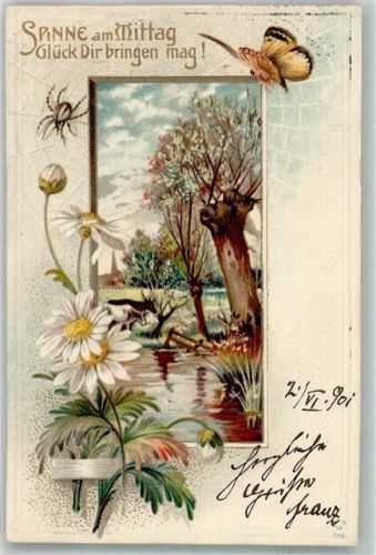 1901 Passepartout Spinne am Mittag Schmetterling