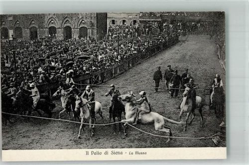 Siena Pferdesport
