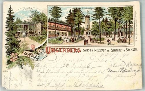 Neustadt 1898 Lithographie Sennhütte Prinz Geeorg Turm Ungerberg