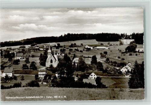 Hammelbach