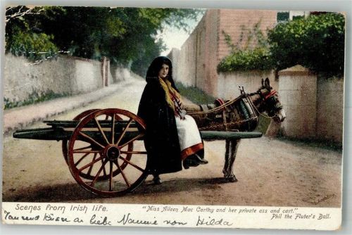 Belfast 1905 Esel Karren Tracht Frau Ort lt. Stempel