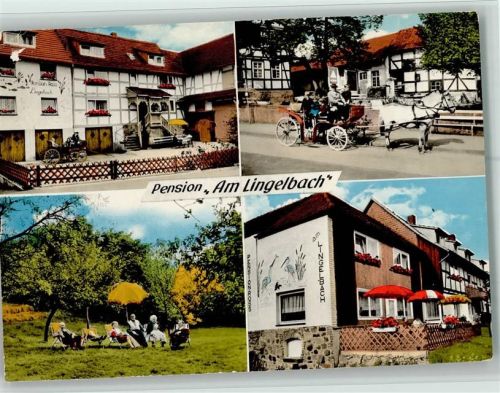 Rengshausen Pension Am Lingelbach Pferdekutsche 4-Bildaufnahme