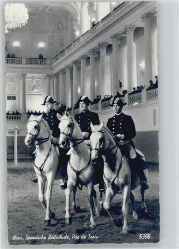 Wien - spanische Reitschule - 1965 AK