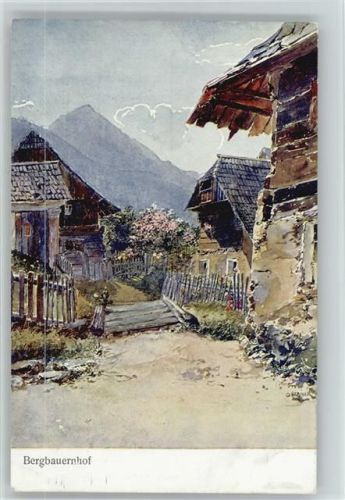 Bergbauernhof ca 1915 AK
