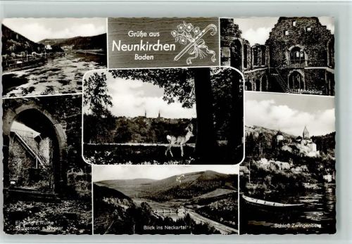 Neunkirchen Blick zum Sanatorium Eingang zur Ruine Stolzeneck Hirsch Blick ins Neckartal Minneburg Schloß Zwingenberg Mehrfachaufnahme