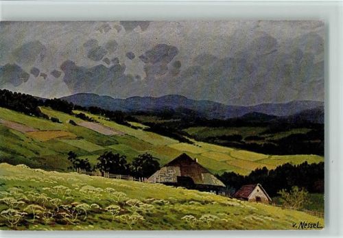 Schwarzwaldhäuser , Moos Serie VI Nr. 15 AK