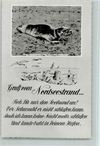 Gruß vom Nordseestrand und ein Gedicht vom Seehund ca 1960 AK
