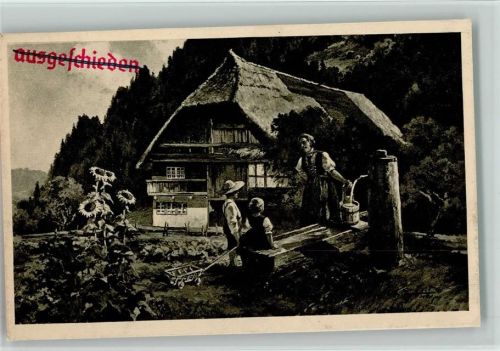 Schwarzwaldhaus, Bauernhaus , Brunnen