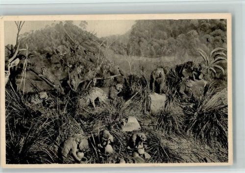 Galeries du Duc D Orleans - versch. Wildtiere
