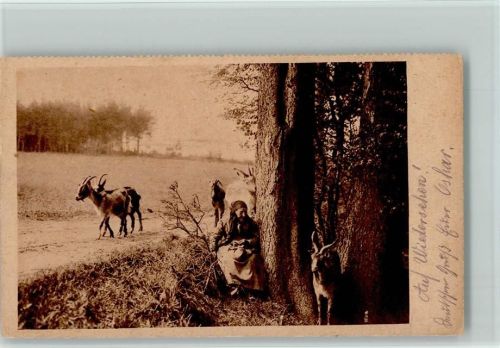 Ruhe Stündchen - Alte Frau mit ihren Ziegen - Bauern 1918 AK