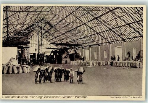 Nr. 3 Trockenhalle von Innen - Westafrikanische Pflanzungs Gesellschaft "Viktoria" Kamerun