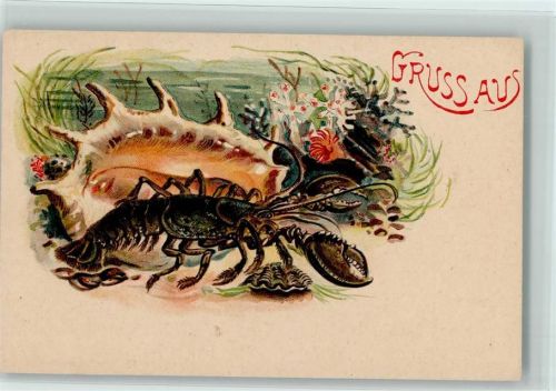 Gruss aus - Hummer und Muschel 1898 AK