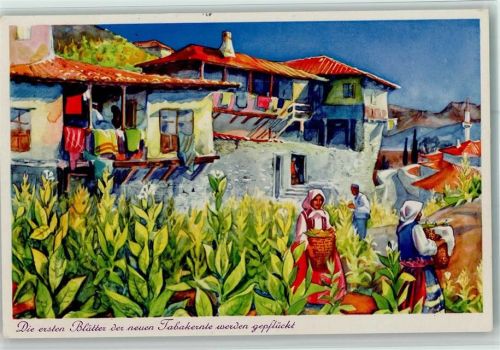 1937 Bulgaria Krone - Tabakdorf Melnik Bulgarien - Tabakernte AK