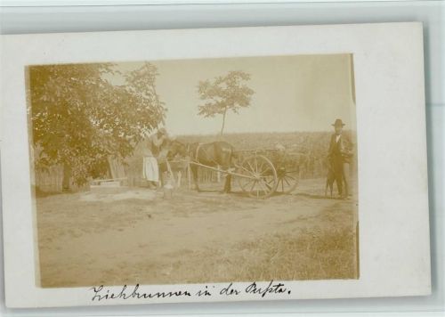 Ziehbrunnen in der Pußta, 1905 AK