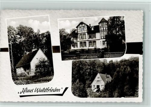 31737 W3262 Steinbergen , Wesergeb 1965 Foto AK Haus Waldfrieden , gute Erhaltung AK
