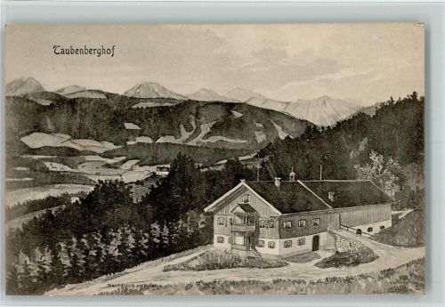 W8160 Warngau Gasthaus Taubenberghof Pernat 1907 Künstlerkarte