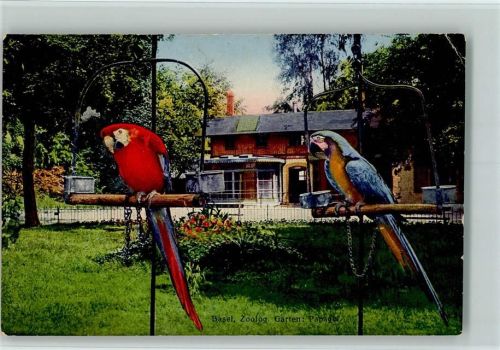 Zool. Garten , Basel Papagei 1916 Gebrauchsspuren