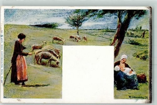 1900 Landwirtschaft Schafe AK