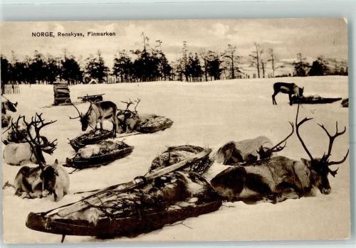 Renskyss Winter