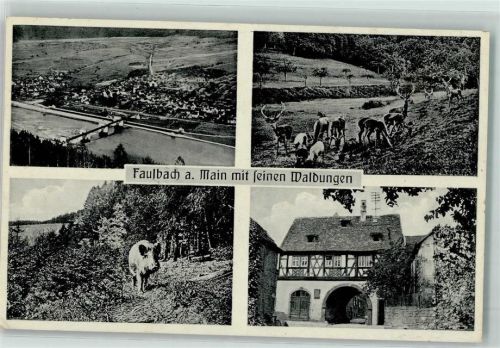 Faulbach Waldungen Wildschwein Hirsche Rehe