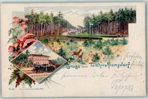 Teichwolframsdorf 1901 Bahnhof Dampflokomotive Klatschmohn