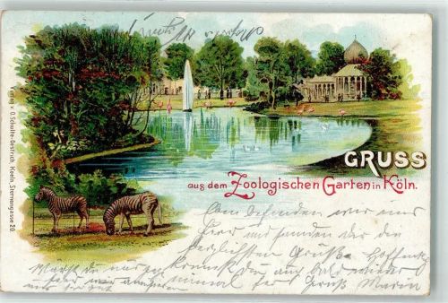 Köln Riehl 503 1898 Zoologischer Garten Flamingo-Teich Fontaine Zebras
