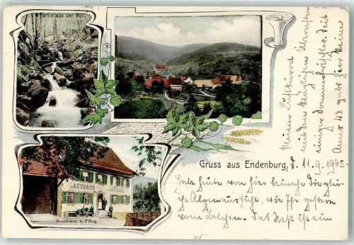 79585 W7853 Endenburg 1905 - Gasthaus z. Pflug aus der Höll.