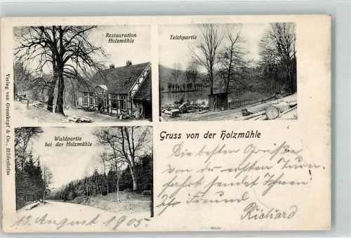 Eldagsen 1905 Gasthaus Holzmühle Teich Wald Ort lt. Stempel
