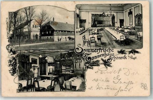 Schöneck 1903 Gasthaus Tannenhaus Gastraum Saal Billardtisch