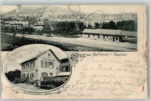 Hofheim 1898 Bahnhof Rheingauer Hof