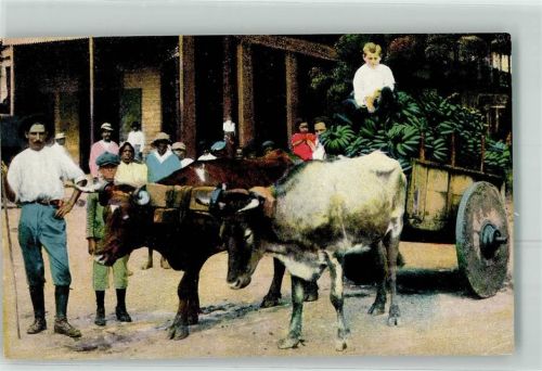 Puerto Limon Hauling bananas to the flour mill