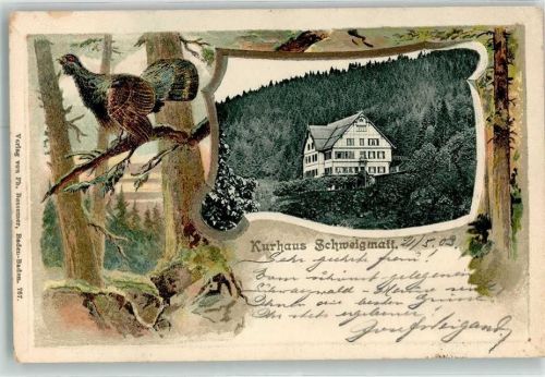 Schweigmatt 1903 Kurhaus Schweigmatt Auerhahn Bahnpoststempel