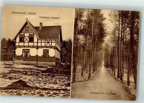 Osterwieck 1910 Forsthaus Fallstein Waldweg