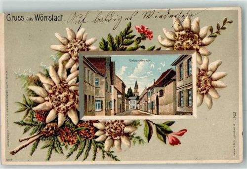 Wörrstadt 1914 Pariser Straße Blumenzweig