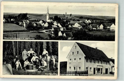 Oberlauterbach Hopfenernte Erntehelfer Gemischtwaren Galster
