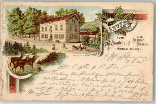 Radeberg Gasthaus Schänkhübel Hirsch Rehe Farn