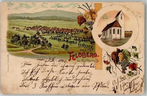 Feldberg 1902 Lithographie Dorfkirche Weintrauben