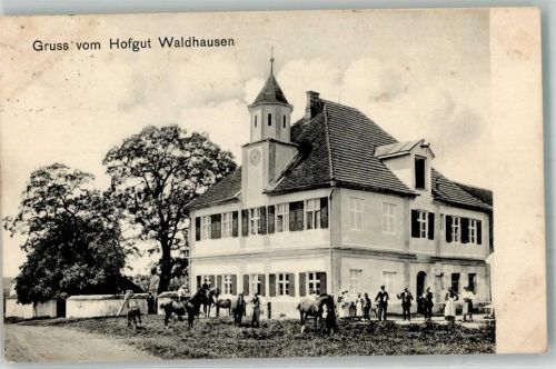 Krumbach 1908 Hofgut Waldhausen Pferde Ort lt. Stempel