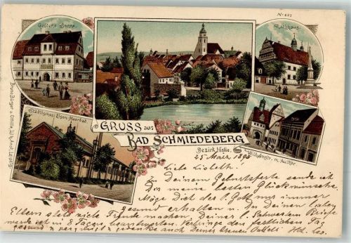 Bad Schmiedeberg 1898 Städt. Eisen-Moorbad Gasthaus Goldene Sonne Rathaus Autor