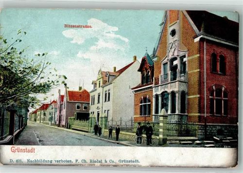 Grünstadt Bitzenstraße Villen
