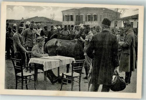 Shkodra WK I Pferdeankauf Uniform