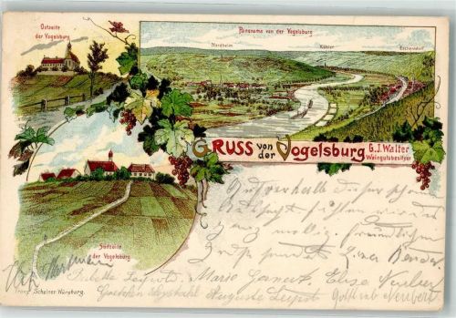 Vogelsburg 1899 Weinbau Vogelsburg Nordheim Kühler Eschendorf