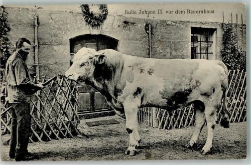 Rummelsberg Rummelsberger Anstalten Bulle Johann II. Bauernhaus Bauer