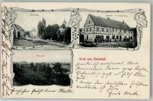 Nienstedt 1911 Dorfstrasse Gasthaus zum weissen Ross Gänse