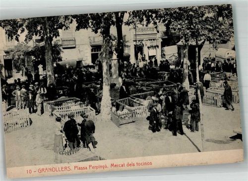 Barcelona Granollers Marktszene Viehmarkt Schweine