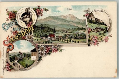 Siegsdorf Maria Eck Gemse Hochfelln Brünnling-Alm