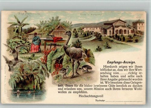 Kapstadt Spende chtistl. Kaffernhaus Kirche Vogel Strauß Lithographie