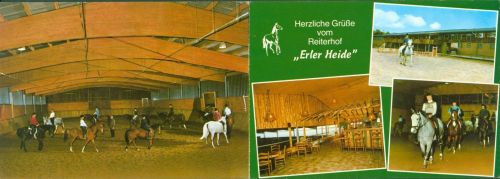 46348 W4285 Erle b Dorsten Klapp AK Reiterhof Erler Heide Innennsicht Pferde Reiter
